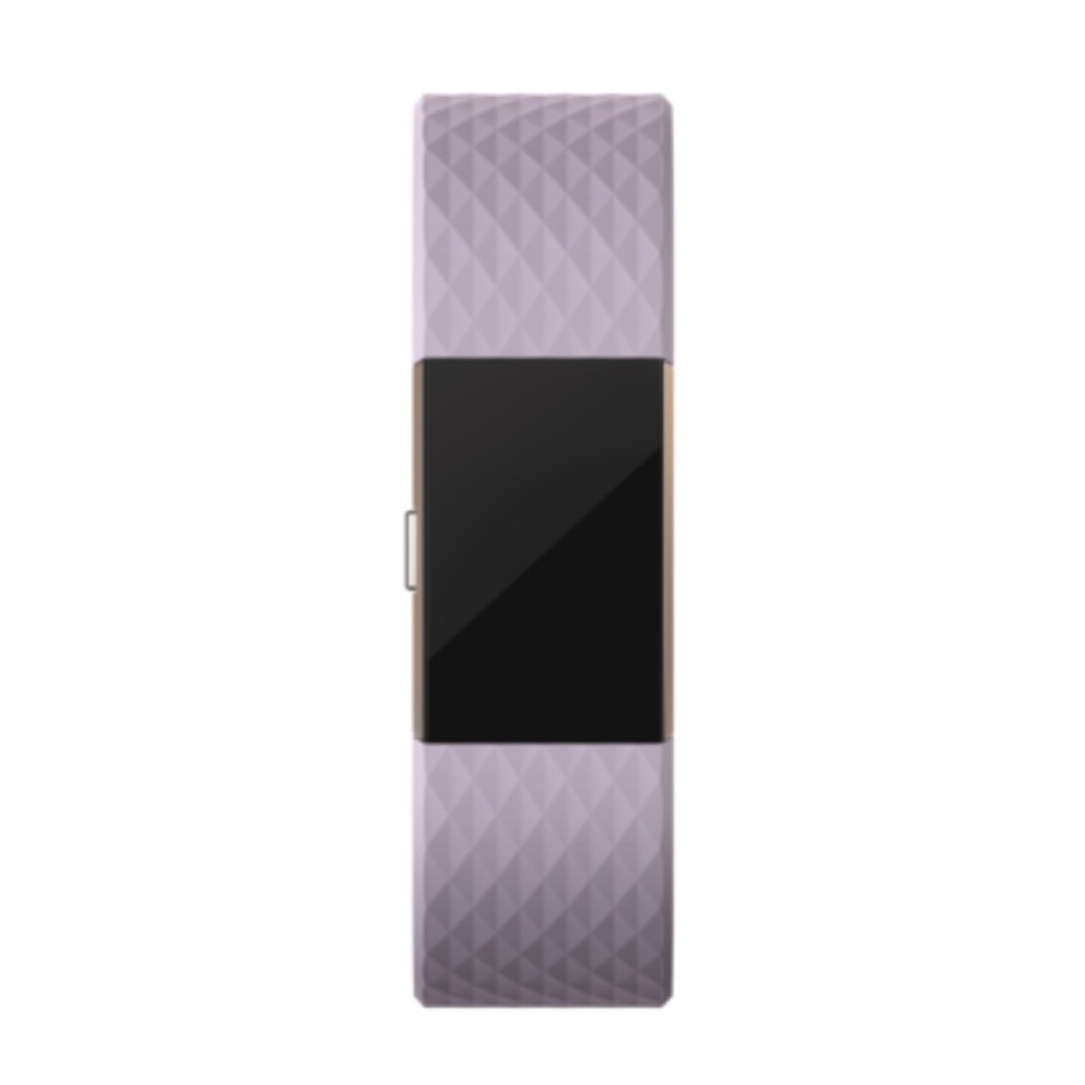 Fitbit Charge 2 Classic Band
